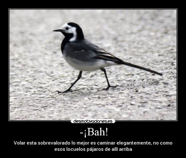 -¡Bah! - Volar esta sobrevalorado lo mejor es caminar elegantemente, no como
esos locuelos pájaros de allí arriba