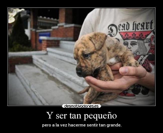 carteles amor desmotivaciones