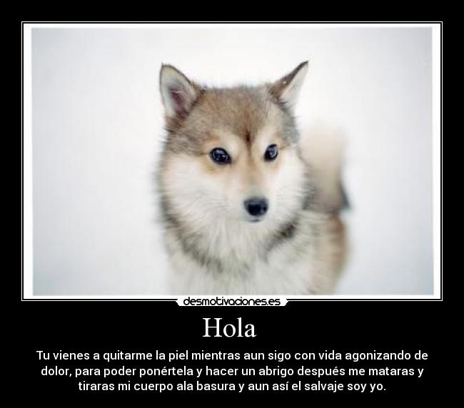 Hola - Tu vienes a quitarme la piel mientras aun sigo con vida agonizando de
dolor, para poder ponértela y hacer un abrigo después me mataras y
tiraras mi cuerpo ala basura y aun así el salvaje soy yo.