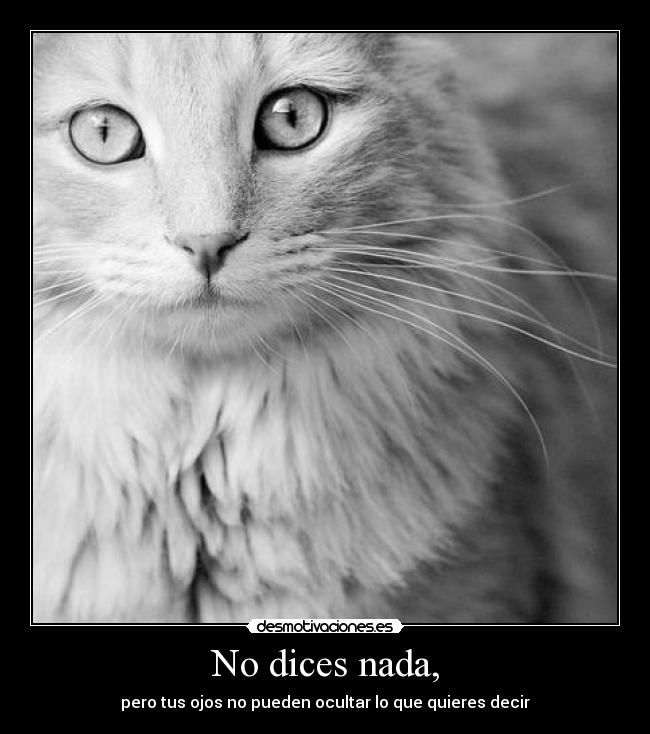 carteles mires las etiquetas oo desmotivaciones