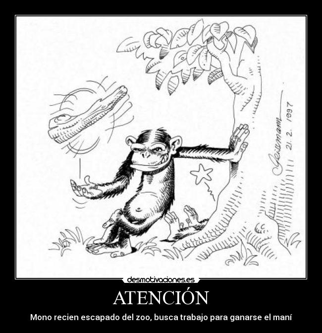 ATENCIÓN - Mono recien escapado del zoo, busca trabajo para ganarse el maní