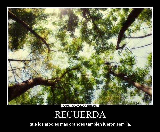 RECUERDA - que los arboles mas grandes también fueron semilla.