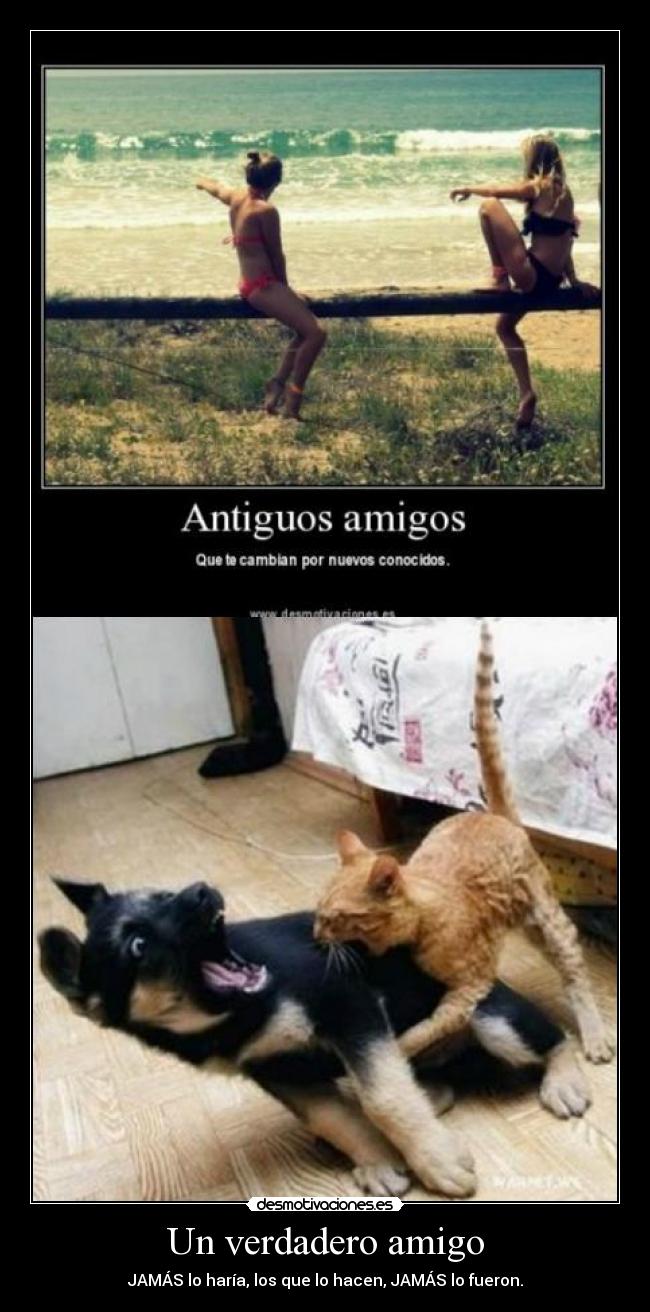 Un verdadero amigo - 