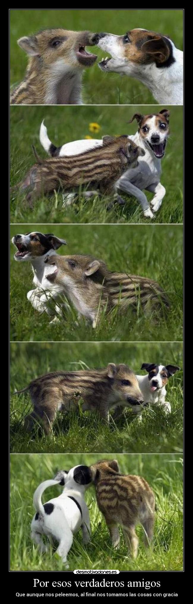 carteles amigos por esos verdaderos amigos desmotivaciones