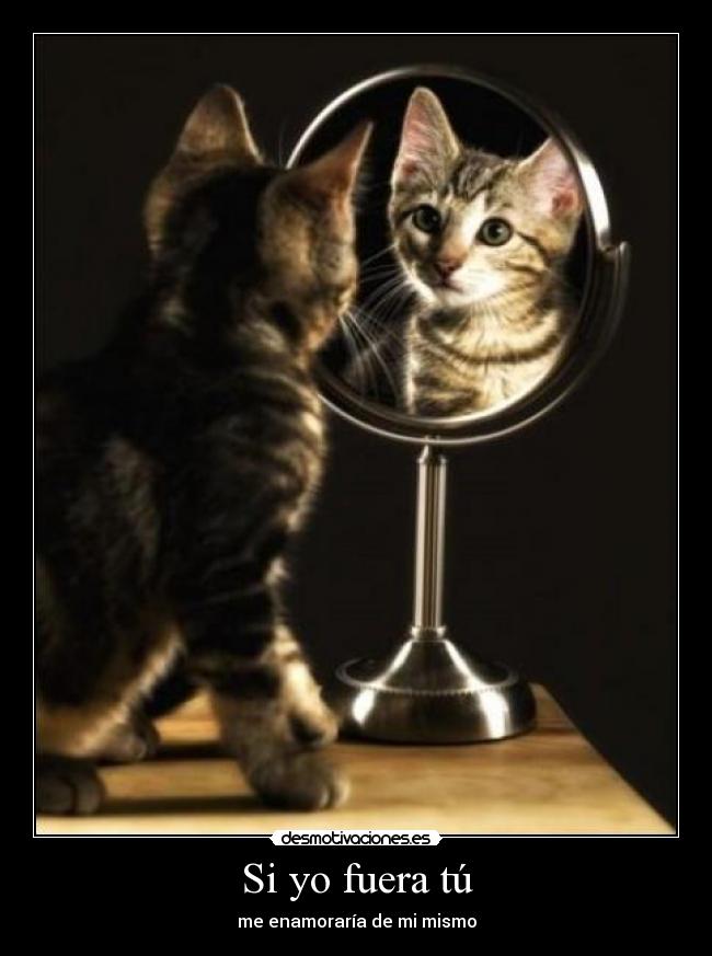 Si yo fuera tú - me enamoraría de mi mismo