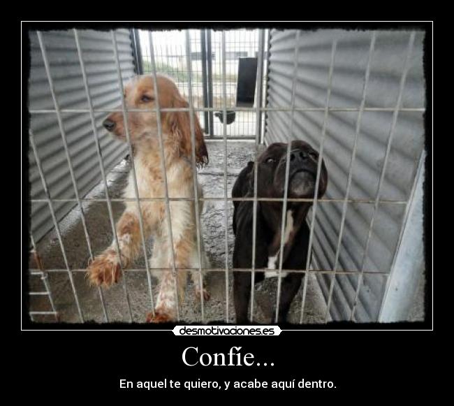 Confíe... - En aquel te quiero, y acabe aquí dentro.