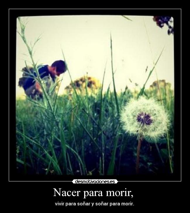 Nacer para morir,  - 