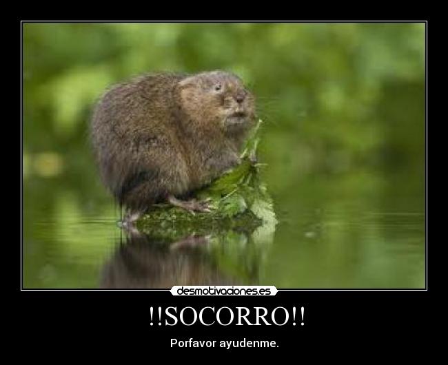 !!SOCORRO!! -