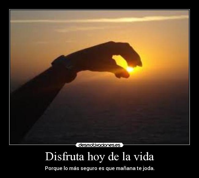 Disfruta hoy de la vida - Porque lo más seguro es que mañana te joda.