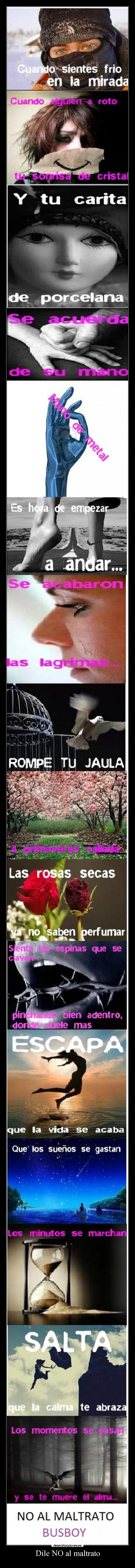 Dile NO al maltrato -