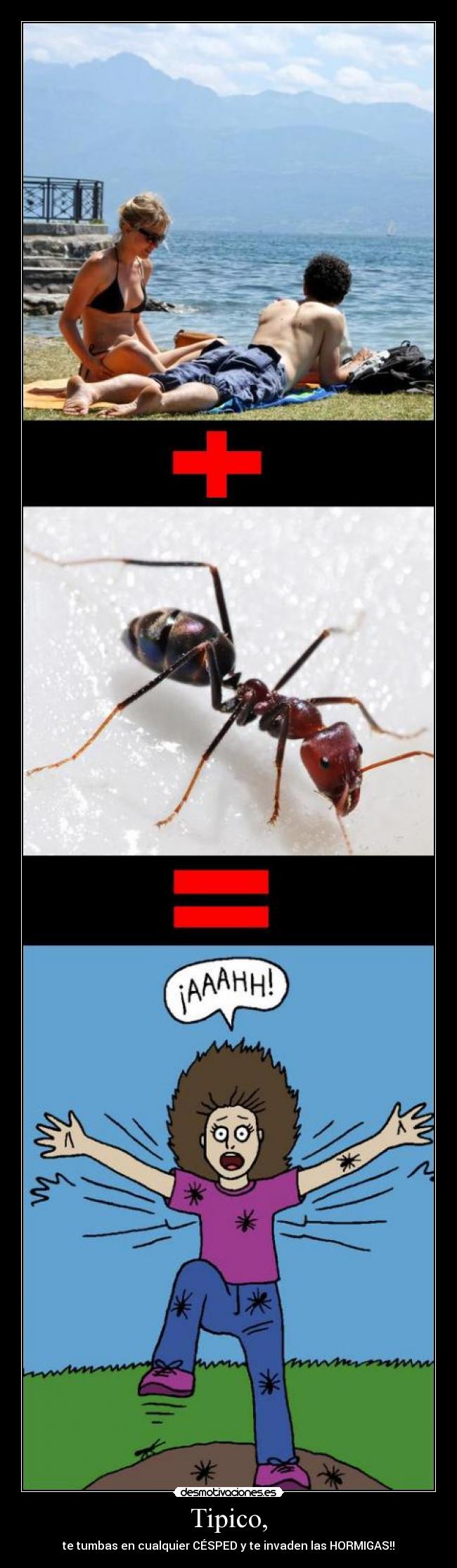 Tipico, - te tumbas en cualquier CÉSPED y te invaden las HORMIGAS!!