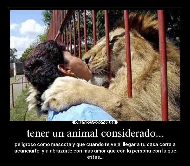tener un animal considerado... -