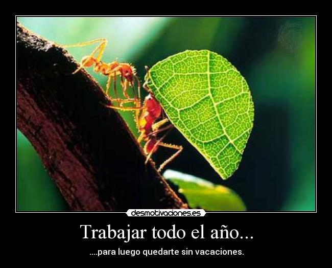 Trabajar todo el año... -