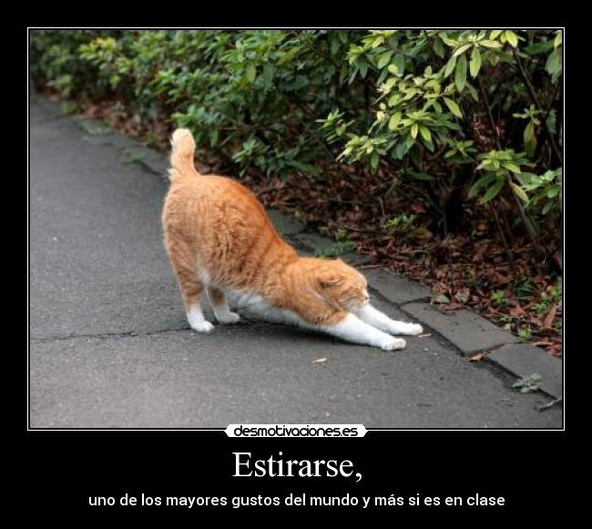 Estirarse, -