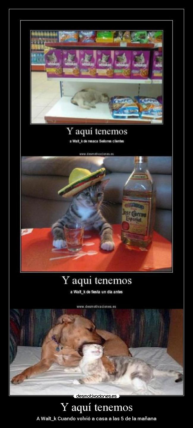 Y aquí tenemos - A Walt_k Cuando volvió a casa a las 5 de la mañana