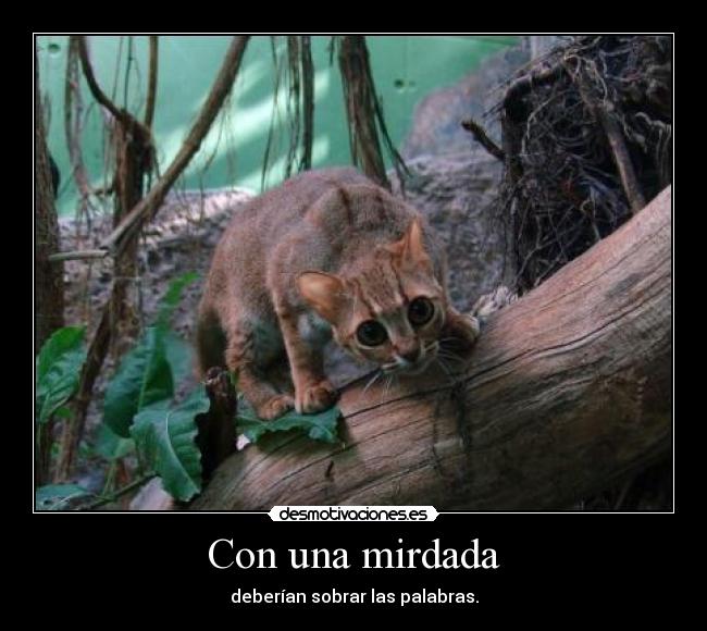 Con una mirdada - deberían sobrar las palabras.