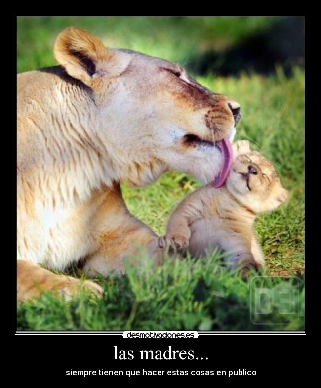 las madres... - siempre tienen que hacer estas cosas en publico