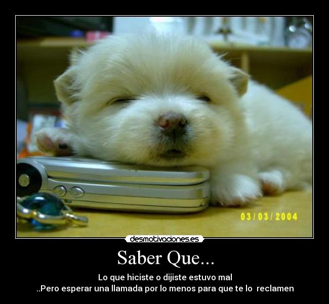 Saber Que... - 