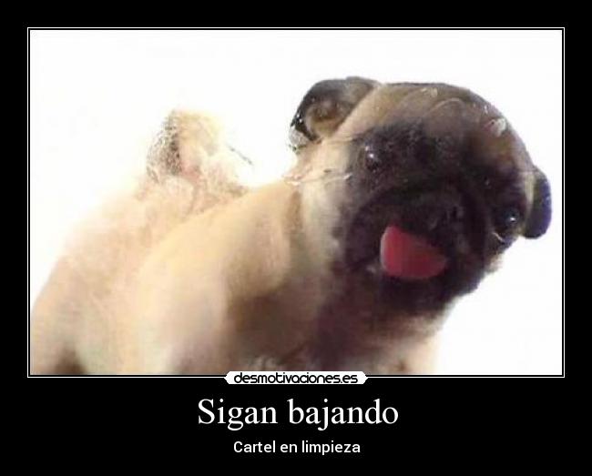 Sigan bajando -