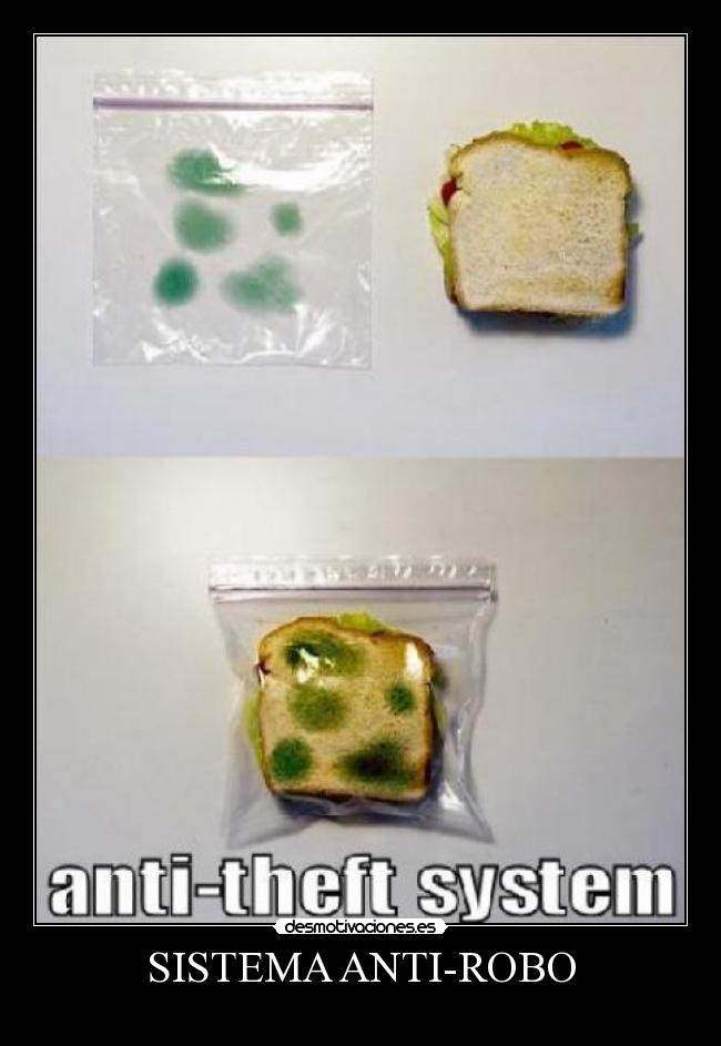 SISTEMA ANTI-ROBO -