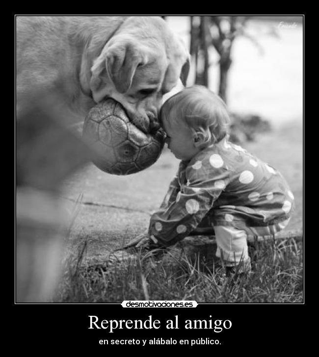 Reprende al amigo -
