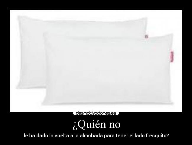 ¿Quién no -