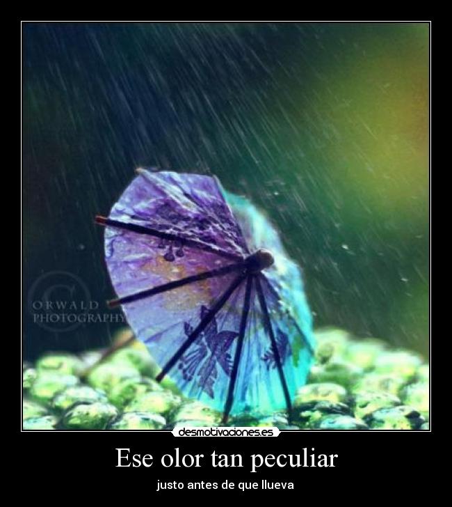 Ese olor tan peculiar -