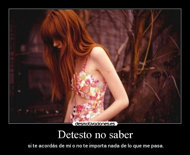Detesto no saber - si te acordás de mí o no te importa nada de lo que me pasa.