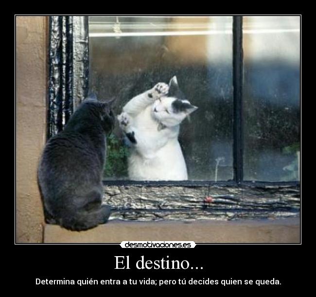 El destino... - 