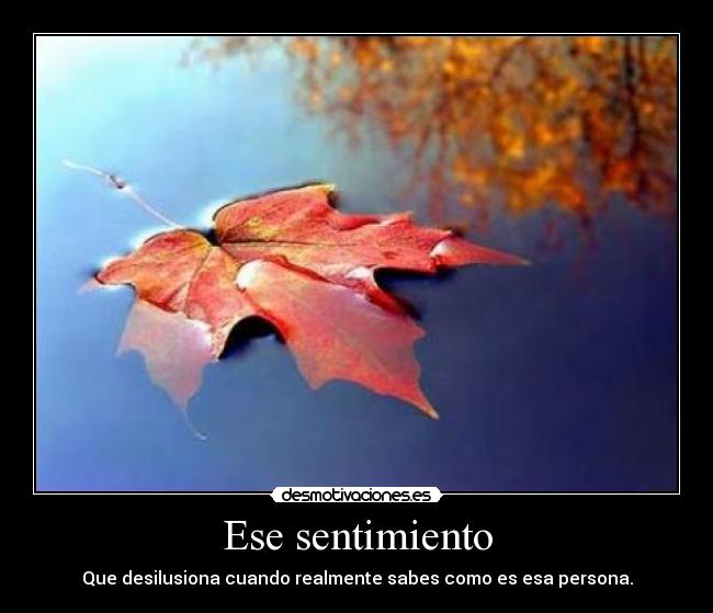 Ese sentimiento - Que desilusiona cuando realmente sabes como es esa persona.
