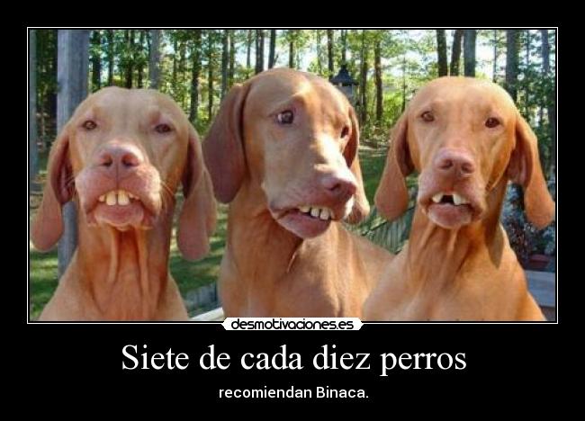 Siete de cada diez perros - 