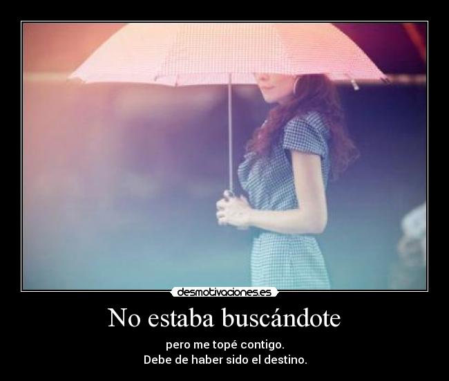 No estaba buscándote - 