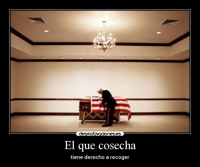 El que cosecha -