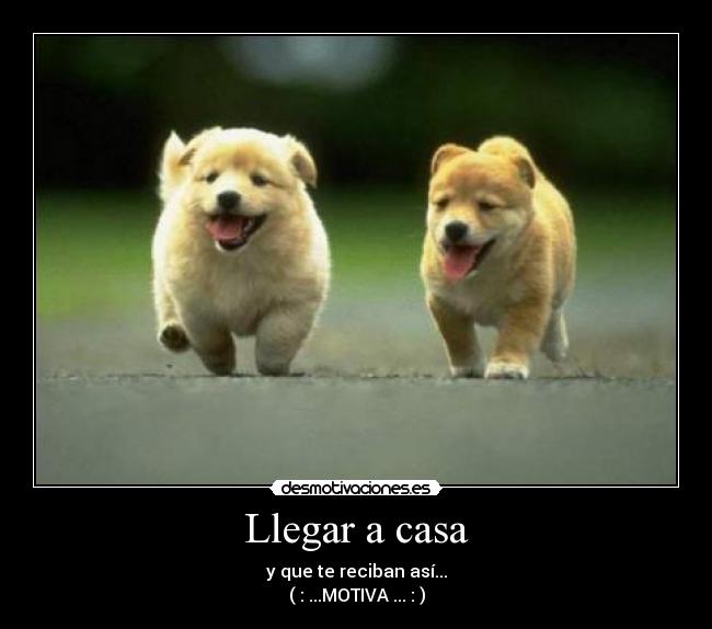 Llegar a casa - 