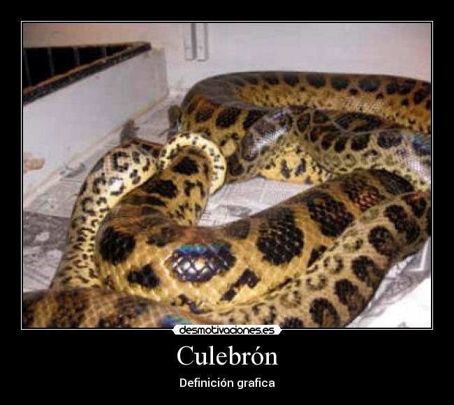 Culebrón - Definición grafica