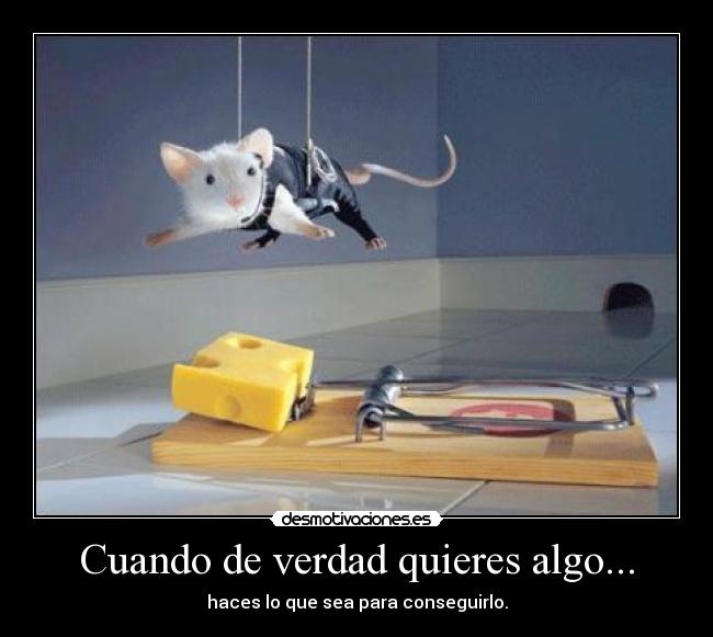 carteles cuando verdad quieres algo desmotivaciones