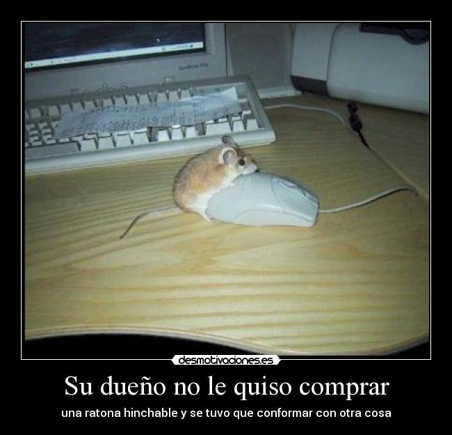 Su dueño no le quiso comprar -