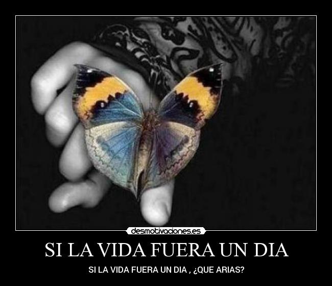 SI LA VIDA FUERA UN DIA - SI LA VIDA FUERA UN DIA , ¿QUE ARIAS?