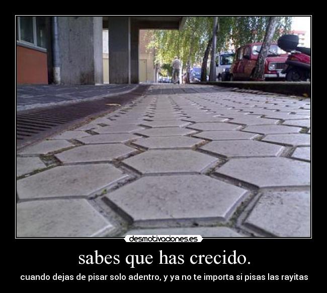 carteles sabes que has crecido desmotivaciones