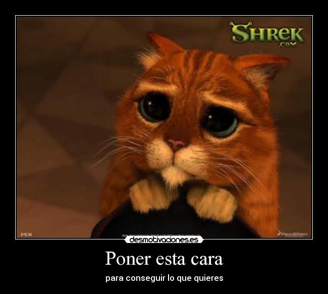 Poner esta cara - para conseguir lo que quieres