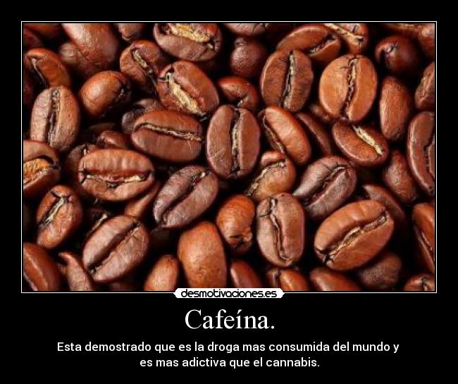 Cafeína. - Esta demostrado que es la droga mas consumida del mundo y 
es mas adictiva que el cannabis.