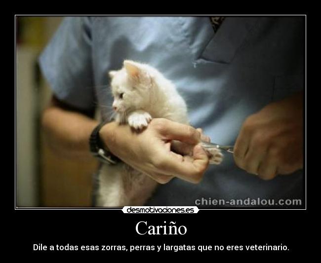 Cariño -