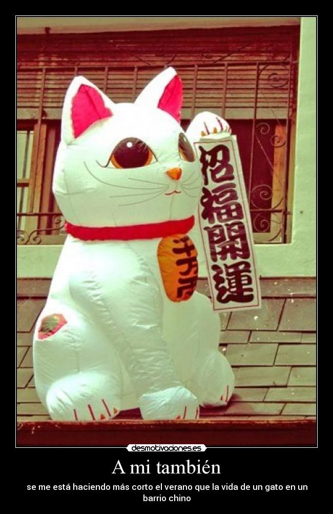 A mi también -