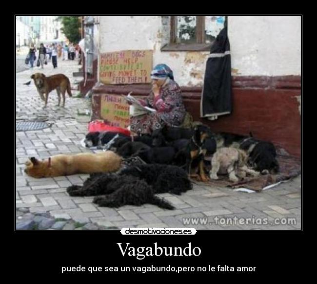 Vagabundo - puede que sea un vagabundo,pero no le falta amor