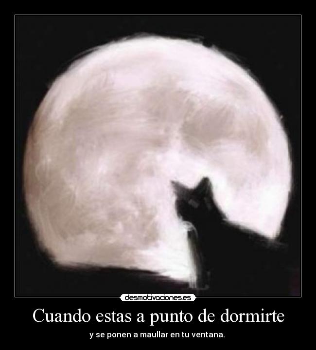 Cuando estas a punto de dormirte - 
