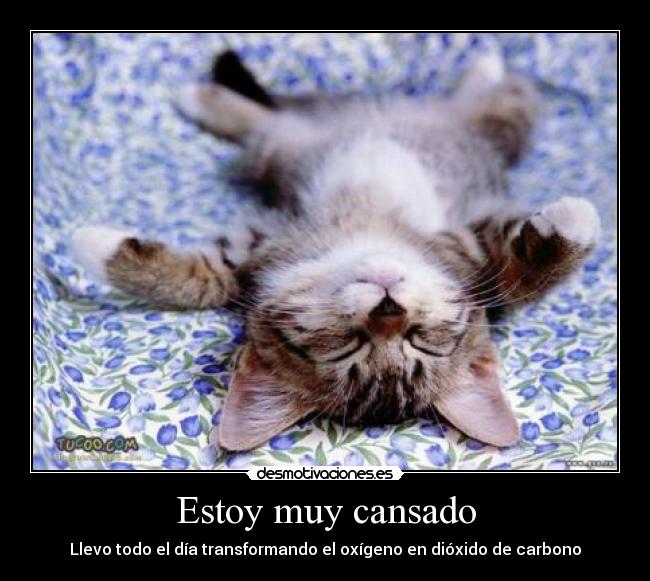 Estoy muy cansado - Llevo todo el día transformando el oxígeno en dióxido de carbono