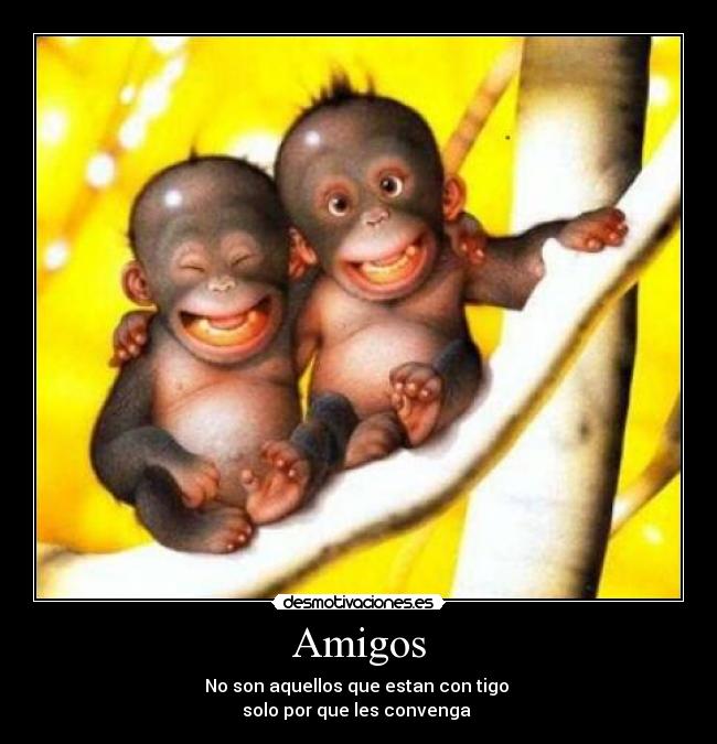 Amigos - 