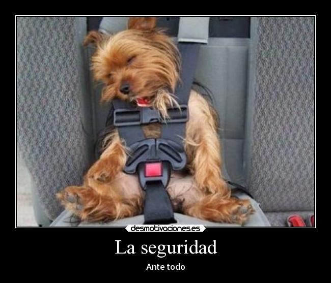 La seguridad -
