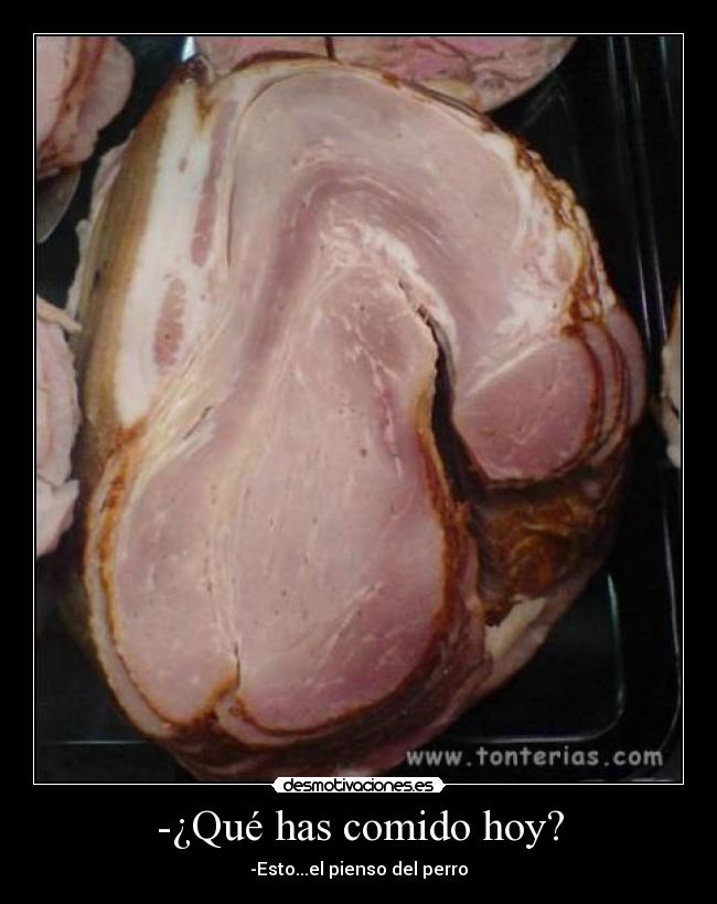 -¿Qué has comido hoy? - -Esto...el pienso del perro