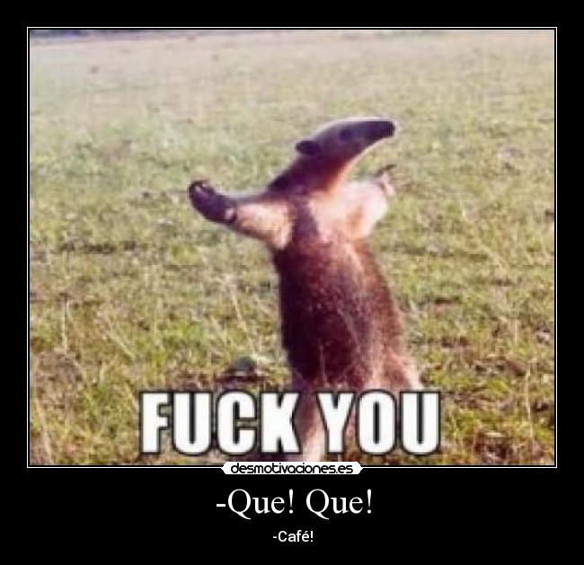 -Que! Que! - -Café!